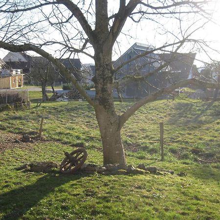 Unterm Nussbaeumle Apartman Adelhausen Kültér fotó