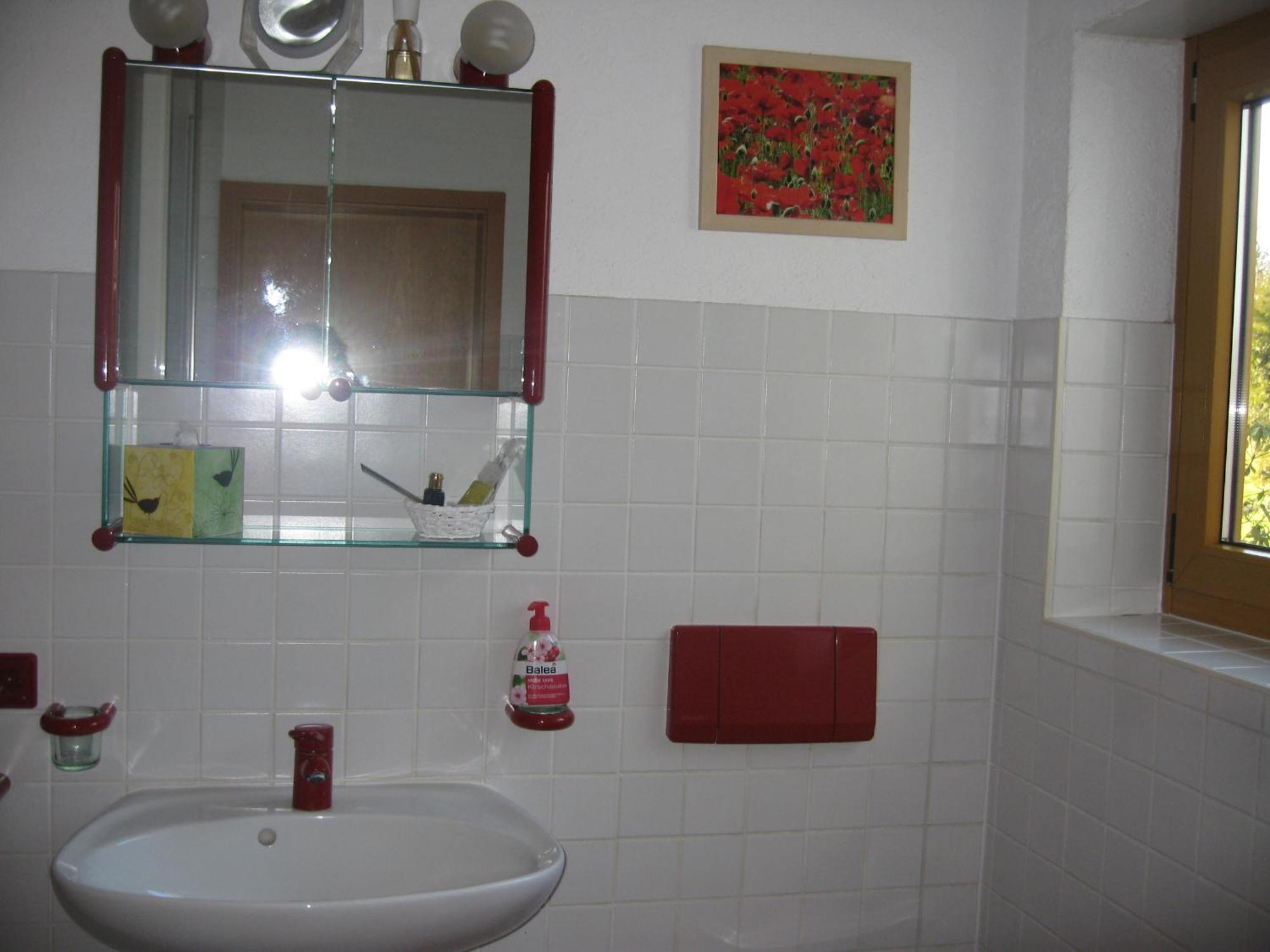 Unterm Nussbaeumle Apartman Adelhausen Kültér fotó